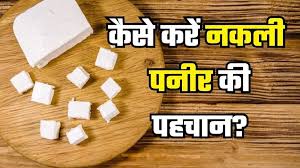 रायपुर में सेहत से खिलवाड़, एक साल में 15,090 किलो नकली पनीर जब्त
