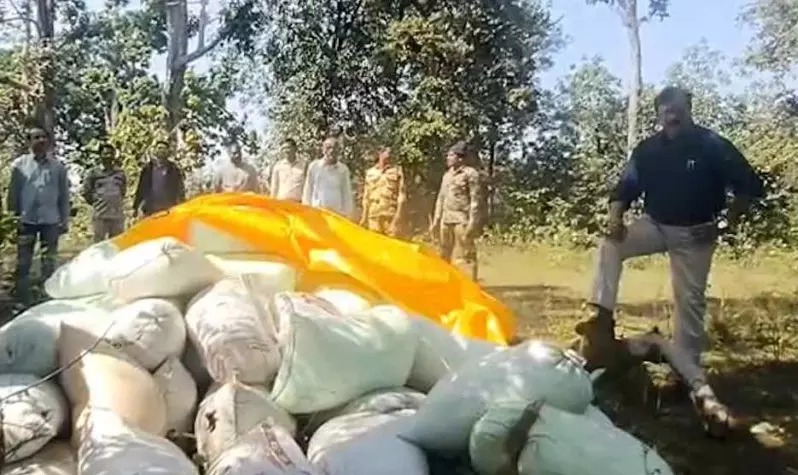 हीरो स्टाईल में SDM ने धान के अवैध परिवहन पर फेरा पानी, इतना ही नहीं डायलॉग भी मारा