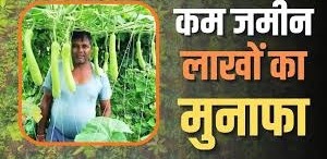 कम जमीन, एक साथ कई फसलें और लाखों का मुनाफा, जाने सीताराम की ‘बहु-मंजिला खेती’ का राज