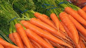नवंबर-दिसंबर में लगाएं गाजर की ये सुपरहिट किस्में! 80-90 दिनों में हो जाएगी तैयार, बना देगी मालामाल