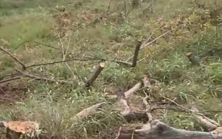 खबर की असर : सहायक संचालक उद्यान सक्ती ने भुतहा उद्यान अधीक्षक एस एन चौबे को थमाया नोटिस