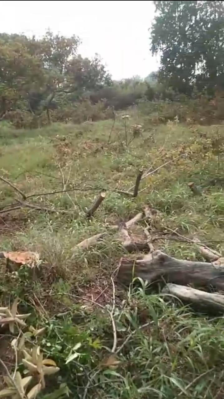 खबर की असर : सहायक संचालक उद्यान सक्ती ने भुतहा उद्यान अधीक्षक एस एन चौबे को थमाया नोटिस