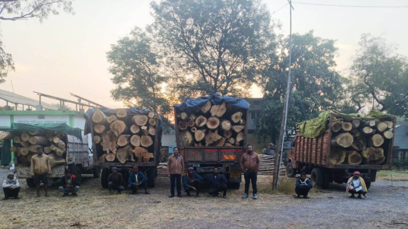 प्रतिबंधित काष्ठों का अवैध परिवहन पकड़ा गया, वन विभाग ने की जप्ती
