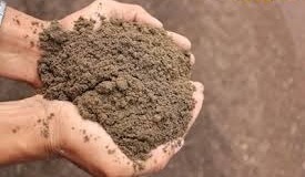 बागवानी का रखते हैं शौक तो जानिए कौन-सी मिट्टी है आपके सब्जियों के लिए सबसे उपजाऊ!