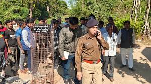 राजगढ़ में 10-12 डकैतों ने सराफा बाजार घेरा, दहशत में बुजुर्ग दुकानदार की हार्ट अटैक से मौत