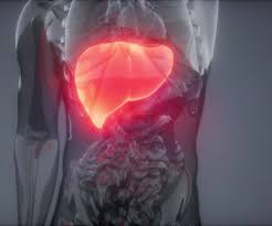 त्वचा पर नजर आते हैं लिवर की खराबी के 5 लक्षण, स्किन प्रॉब्लम समझकर अनदेखा करना पड़ जाएगा भारी