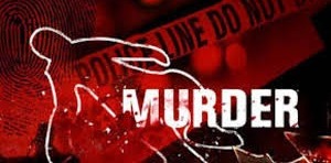 चार बच्चों की मौत पर जादू-टोना का संदेह, मां ने कर दी पड़ोसी महिला की हत्या