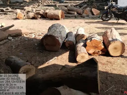 आरा मिल में रेड, करोड़ों की इमारती लकड़ी बरामद