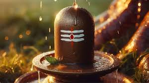 बेहद खास है सफला एकादशी का व्रत, शिवलिंग पर चढ़ाएं ये चीजें, दूर होंगे दुख