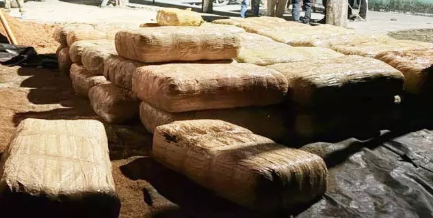 नारियल भूसी से 6 करोड़ का गांजा जब्त, ट्रक में सवार तस्करों से पूछताछ जारी