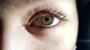 आंखों की रोशनी तेज करने में मददगार हैं ये 5 ड्रिंक्स! जानें पीने का सही तरीका