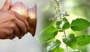 कब नहीं चढ़ाना चाहिए तुलसी को जल? जान लें तिथि वरना बढ़ जाएंगी मुश्किलें