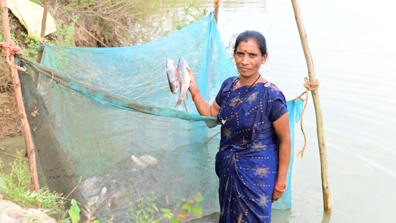 बिहान से बदली तक़दीर- मछली पालन से समृद्ध की राह पर फुलबती मरकाम