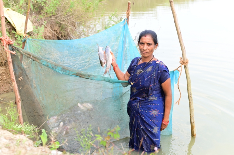 बिहान से बदली तक़दीर- मछली पालन से समृद्ध की राह पर फुलबती मरकाम