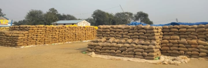 आरंग के 18 धान खरीदी केन्द्रों से ‌उठाव की‌ गति धीमी , 4 लाख क्विंटल धान जाम