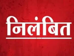 फसल गिरदावरी में लापरवाही पटवारी को पड़ी भारी, कलेक्टर ने किया निलंबित