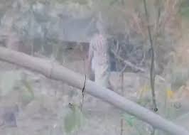 पापा की हरकत का बेटे ने बनाया वीडियो, जघन्य हत्याकांड का खुलासा