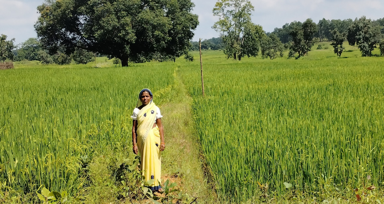 वनांचल के मेहनतकश वनवासी चेहरों पर आई आर्थिक लाभ की मुस्कान